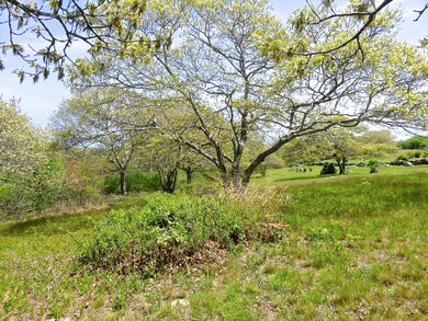11B Rose Meadow Way, Aquinnah, MA 02535 - photo 3