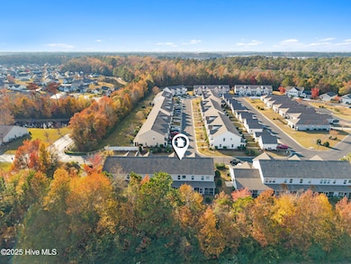 7 Cattle Run Ln, Calabash, NC 28467 - photo 7