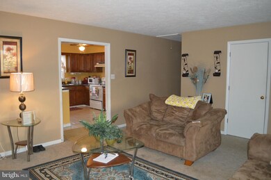 318 Hackberry Dr, Stephens City, VA 22655 - photo 4