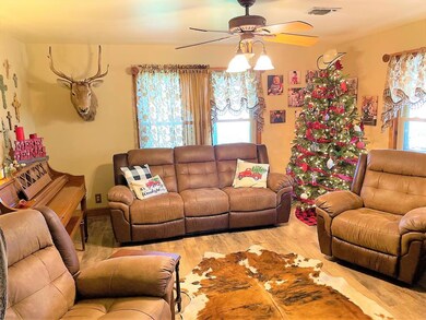 110 Marian Dr, Weatherford, TX 76085 - photo 7