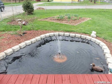 Yard. POND WITH FOUNTAIN