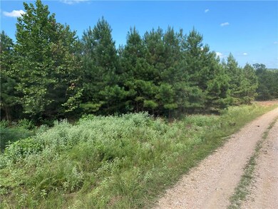 62 Ruts Pines Loop, Broken Bow, OK 74728 - photo 3