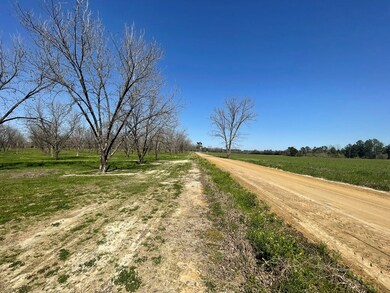 0000 Sanford Road (47 83 Acres), Thomasville, GA 31757 - photo 4