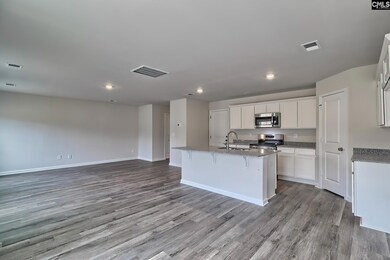 2424 Bold Ruler Rd, Lexington, SC 29073 - photo 5