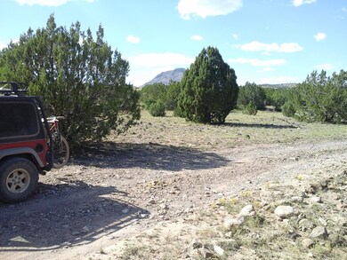 Lot 47 Juniperwood Ranch Unit 11, Ash Fork, AZ 86320 - photo 4