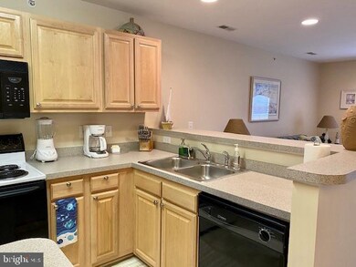 36501 Palm Dr unit 1206, Rehoboth Beach, DE 19971 - photo 4