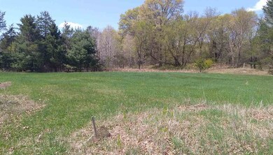 L8 W River Bend Rd, Necedah, WI 54646 - photo 3
