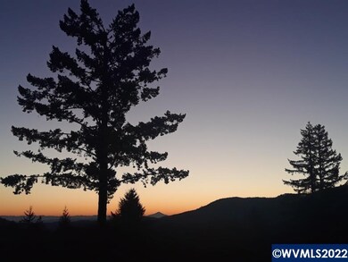 23175 Gooseneck Rd, Sheridan, OR 97378 - photo 4