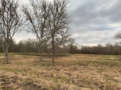0000 Fm 442, Boling, TX 77420 - photo 4