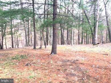 308 Sugar Maple Ln, Gerrardstown, WV 25420 - photo 7