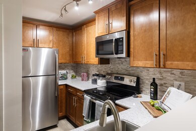 1691 Buttonwood Cir unit 2713, Schaumburg, IL 60173 - photo 4