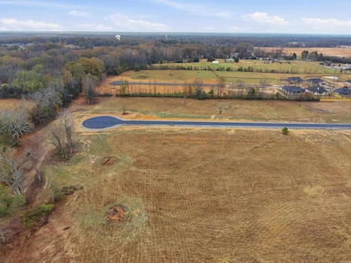 Lot 10 Crescent Cove, Ward, AR 72176 - photo 7