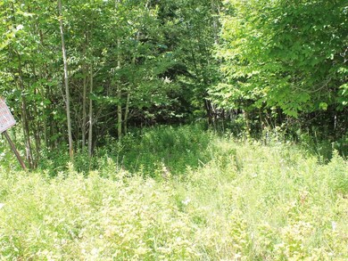 ON Tower Ridge Rd, Mercer, WI 54547 - photo 3