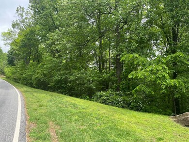 0 Plumley Summit Rd unit 11495050, Landrum, SC 29356 - photo 4