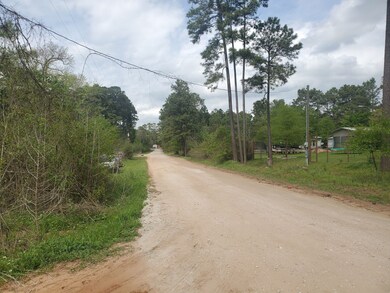 Lot 3 Magnolia Springs, Plantersville, TX 77363 - photo 6