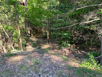 18 Split Oak Cir unit 4A/A001/01, Chesterfield, NH 03443 - photo 6