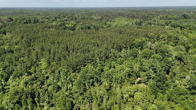 333 Yocum Rd unit LotWP002, Trout, LA 71371 - photo 5