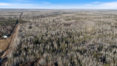 TBD County Road 103, Mahtowa, MN 55707 - photo 3