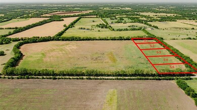 Lot 4 County Rd 4045, Ector, TX 75439 - photo 2