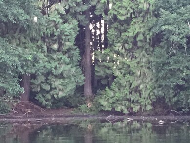 31 W Lake Ketchum, Stanwood, WA 98292 - photo 3