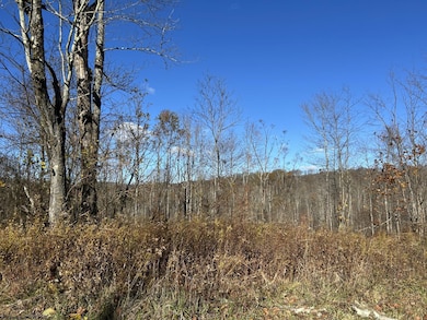 TBD Spruce Run Rd, Terra Alta, WV 26764 - photo 7