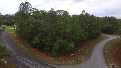 9290 N Marcus Way, Citrus Springs, FL 34433 - photo 3