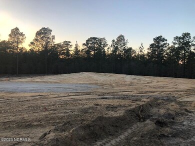 Ledbetter Land Pic-Cleared