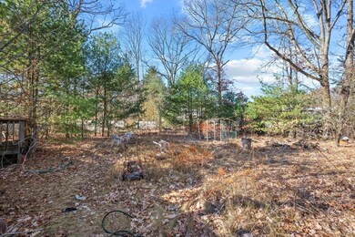 6 Eleanor Rd, Walpole, MA 02081 - photo 6