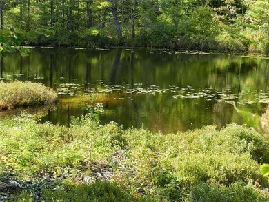 80 Half Moon Trail, Sumner, ME 04292 - photo 3