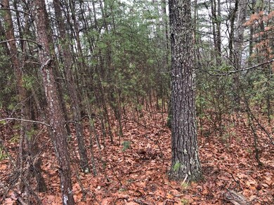 TBD Deer Run unit 56, Purlear, NC 28665 - photo 6