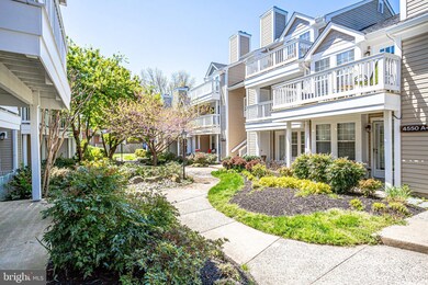 4544 28th Rd S unit D, Arlington, VA 22206 - photo 3