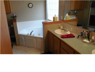 Luxurious master bath