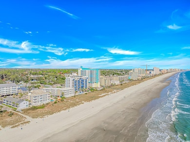 2405 S Ocean Blvd unit 311 PALMWOOD VILLAS, North Myrtle Beach, SC 29582 - photo 3