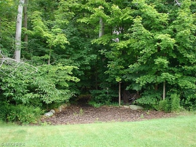 wooded trail in back yard