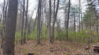 245 Bradley Branch Rd, Mars Hill, NC 28754 - photo 5