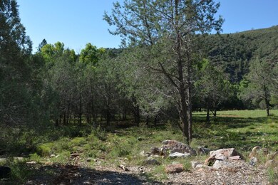 Pines on Lot