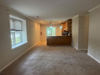 4556 Concord Place unit P117, Mays Landing, NJ 08330 - photo 4