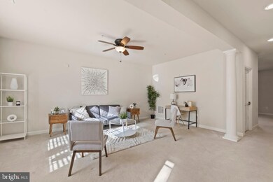 527 Spectator Ave, Hyattsville, MD 20785 - photo 7