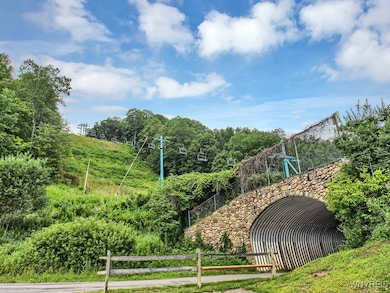 C102 Snowpine Village, Ellicottville, NY 14731 - photo 3