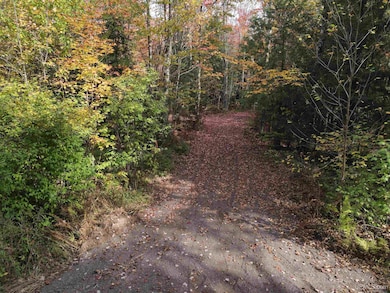 TBD Norlund Rd, Ironwood, MI 49938 - photo 2