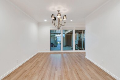 31-web-or-mls-DSC08507