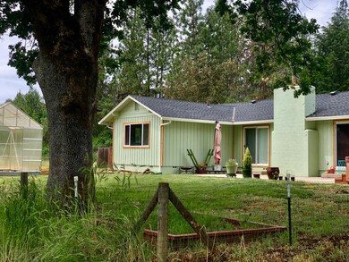 Pinegrove6