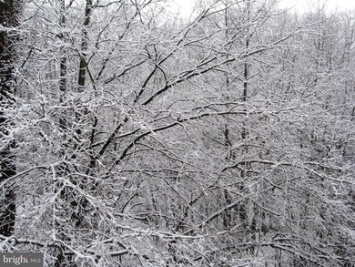 13603 Sir Thomas Way, Silver Spring, MD 20904 - photo 7