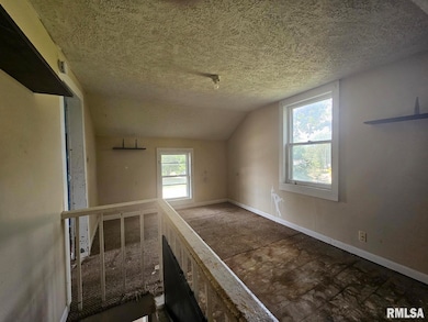 224 E State St, Washburn, IL 61570 - photo 6