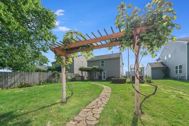 Backyard 2