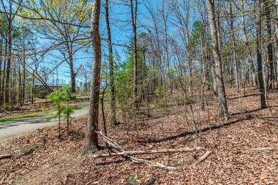 Lot 16 Country Hills Rd, Ellijay, GA 30540 - photo 5