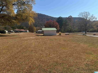 16089 Highway 9, Piedmont, AL 36272 - photo 7