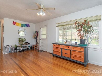 1130 Old Leicester Hwy, Asheville, NC 28806 - photo 5