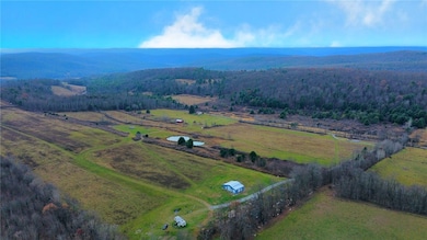 296 Hugg Rd, Elmira, NY 14901 - photo 5