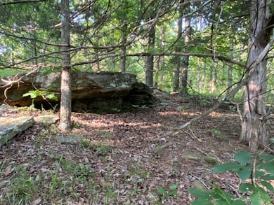 291 Wildwood Ln, Marshall, AR 72650 - photo 7